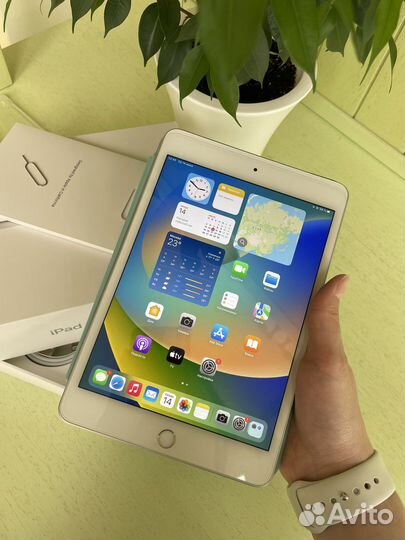 iPad mini 5 cellular