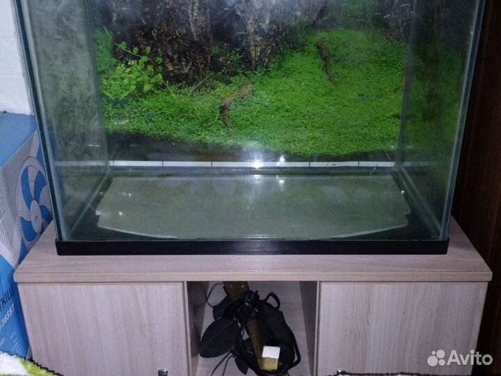 Аквариум