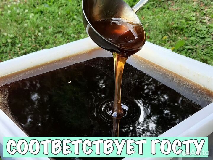 Мёд оптом с Aлтaйского крaя