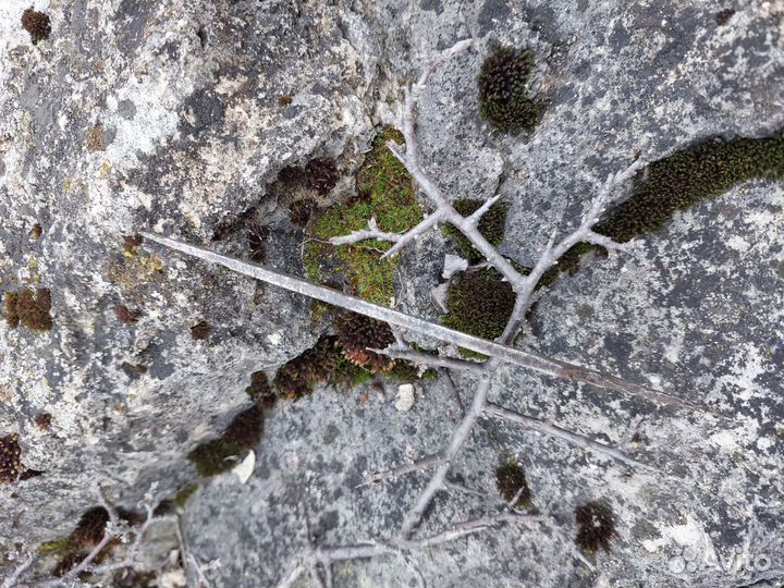 Древний кованый нож с оселками