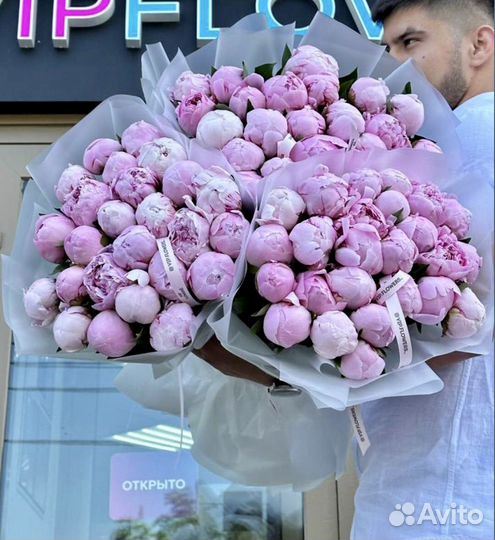 Голландские пионы