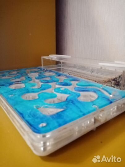 Муравьиная ферма