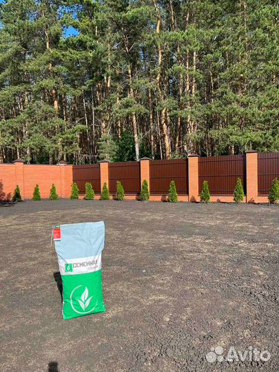 Семена газона низкорослого