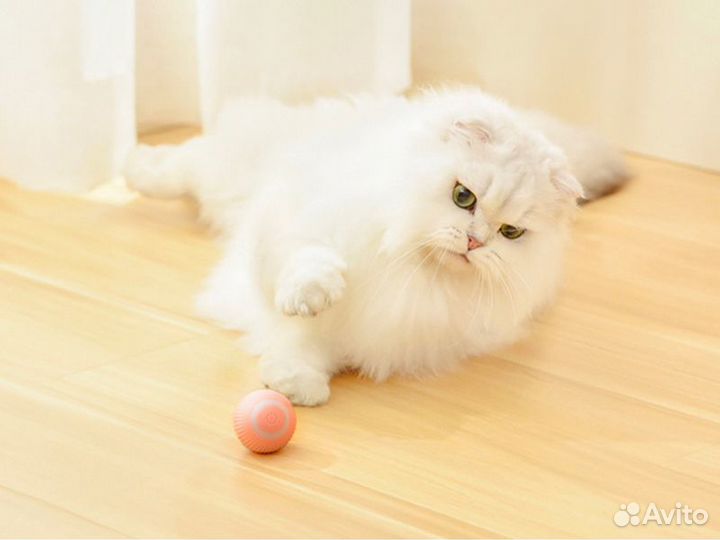 Интерактивная игрушка для кошек 