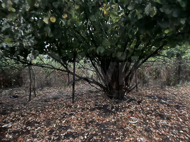 Участок 5 сот. (ИЖС)