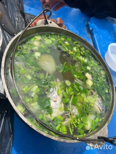 Аренда домиков для отдыха