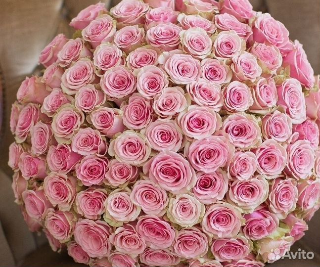 101 тюльпан Букеты Цветы