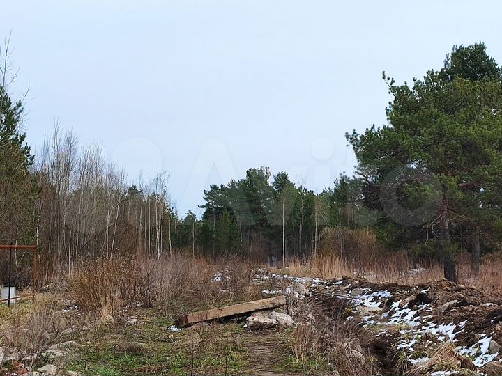 Участок 10 сот. (ИЖС)