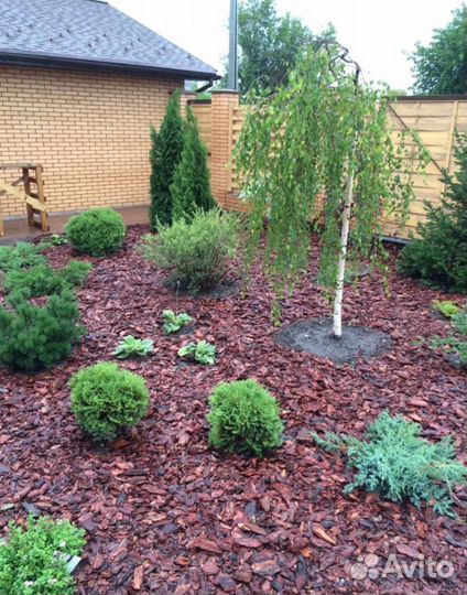 Щепа хвойных пород для мульчирования и ландшафта