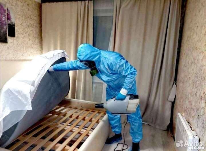 Уничтожение тараканов клопов блох клещей мышей