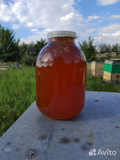 Мёд Черноклён