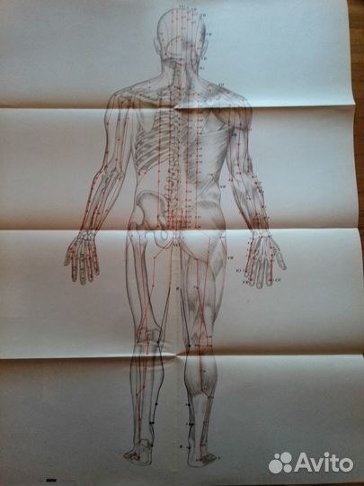 Книги по медицине - неврология, психиатрия, ирт