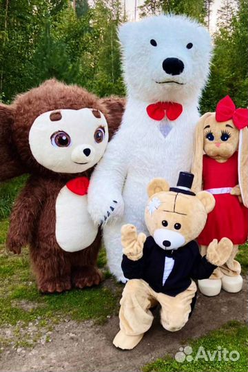 Зайка на торжество