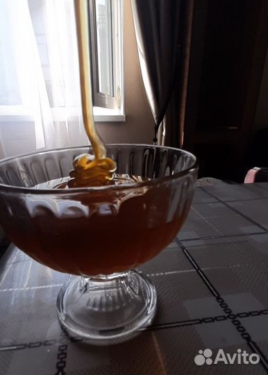 Мед/мёд Таёжный 2023