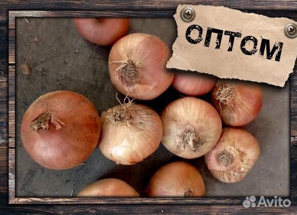 Лук Штутгарт на перо от 3 тонн