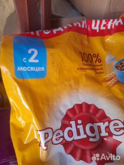 Корм для собак