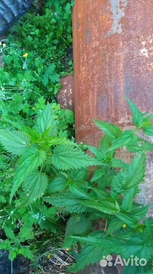 Печь для бани бу