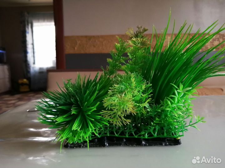 Искусственные водоросли