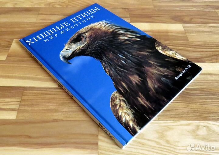 Хищные птицы