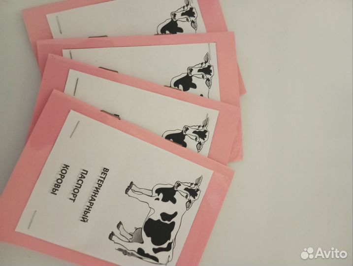 Молоко коровье домашнее