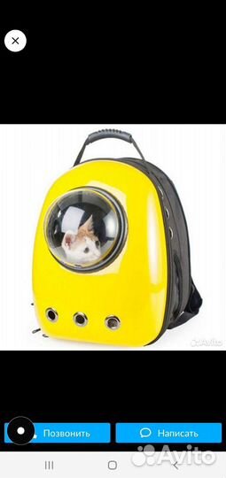 Рюкзак для кота с иллюминатором