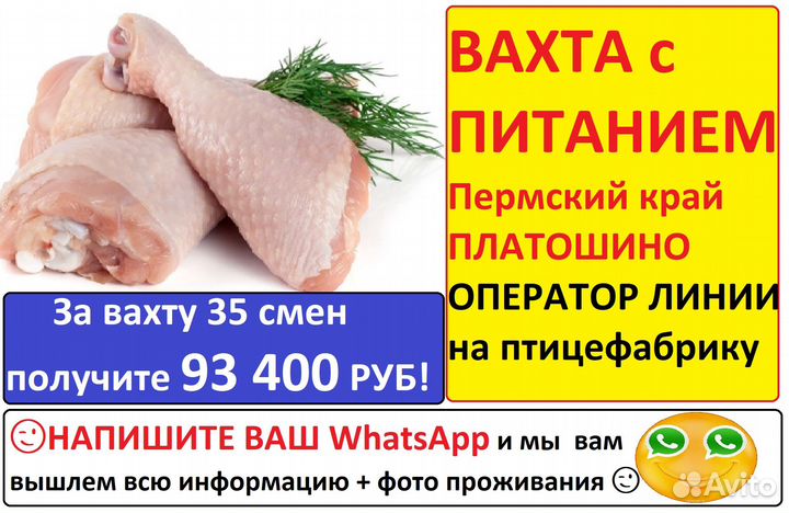 Оператор линии вахта с питанием Пермь