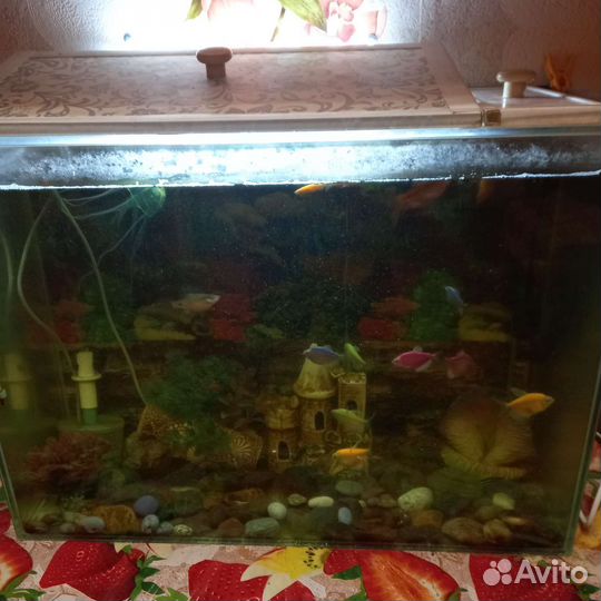 Аквариум