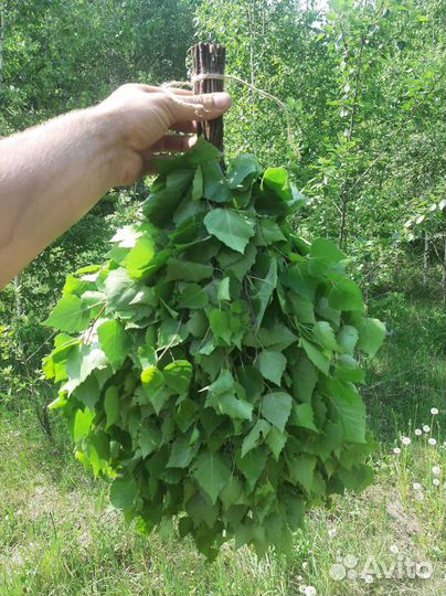 Веники для бани