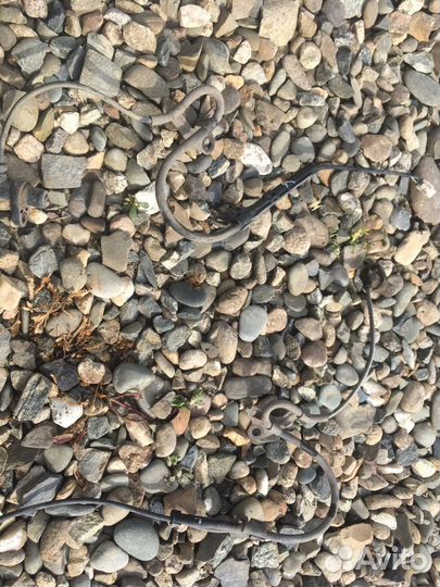 Кулак поворотный правый 4wd noah voxy 2002