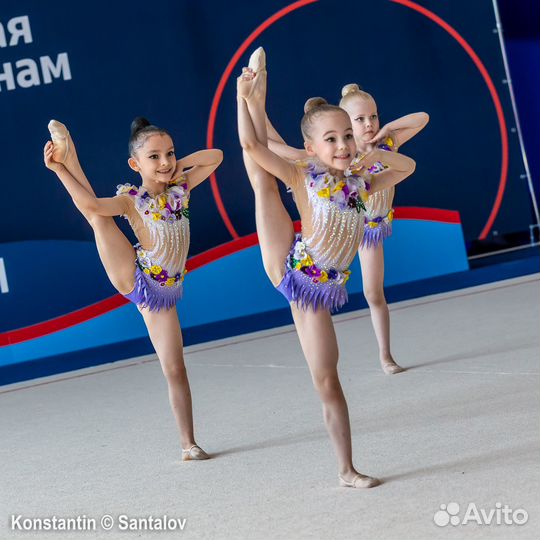 Годовой абонемент в Гимнастический клуб 