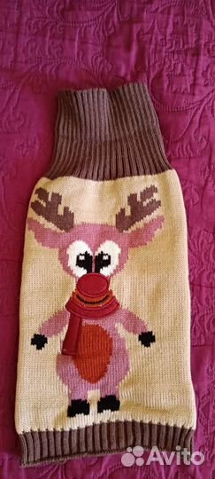 Одежда для животных