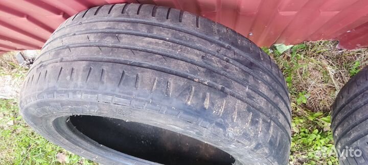 Cordiant Sport 205/55 R16