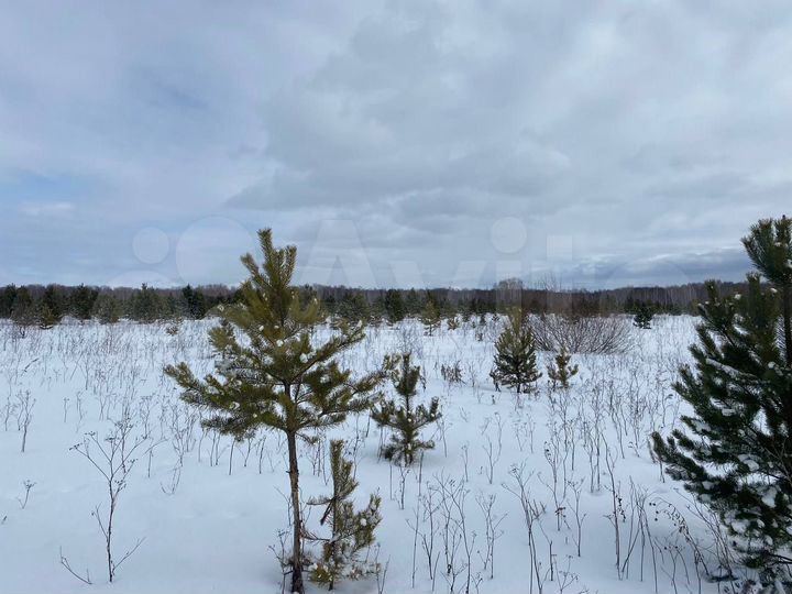 Участок 17 сот. (СНТ, ДНП)