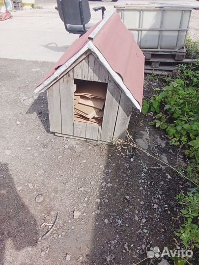 Собачья будка