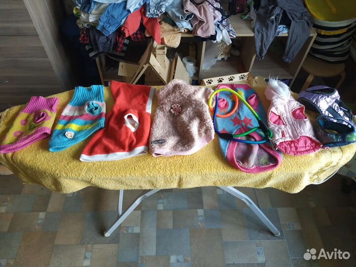 Одежда для маленькой собачки, шлейки, поводок