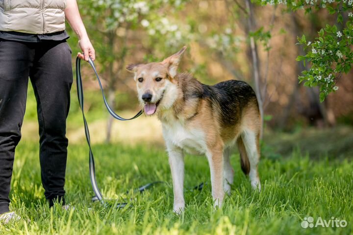 Филипп ищет дом