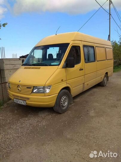 Грузоперевозки, перевозка животных