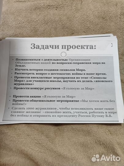 Проект 30 листов 2 класс