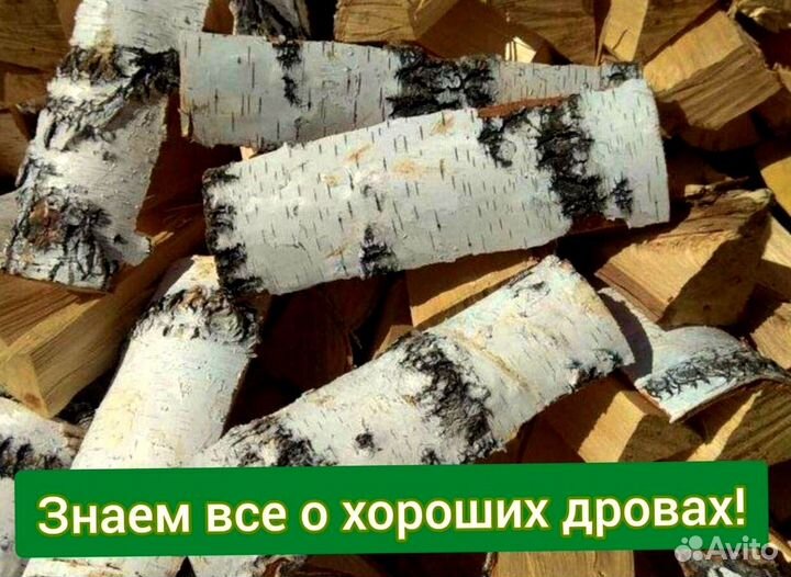 Березовые дрова колотые
