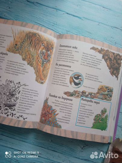 Энциклопедия