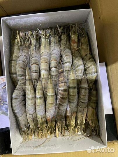 Креветки Большие тигровые морепродукты