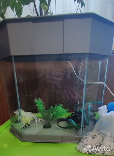 Аквариум