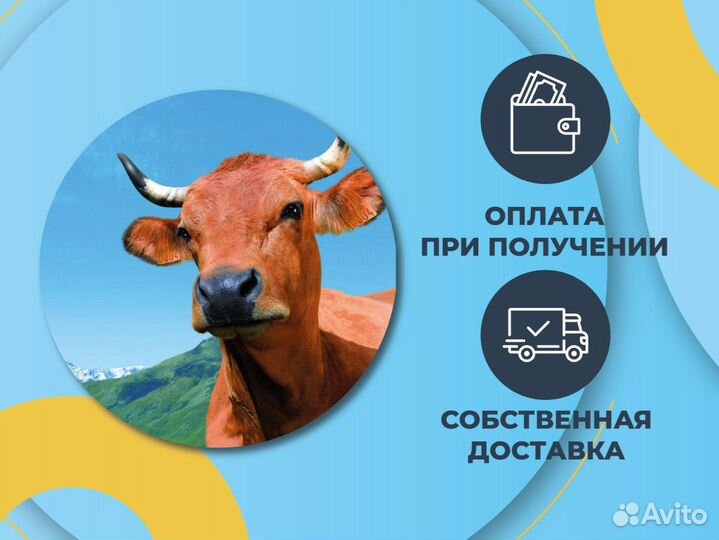 Комбикорм для несушек