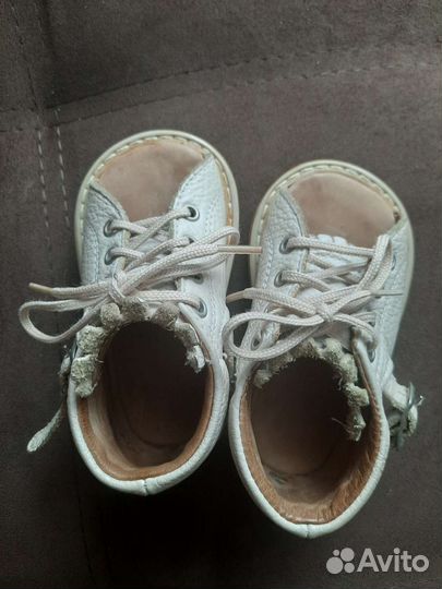 Брейсы медвежонок