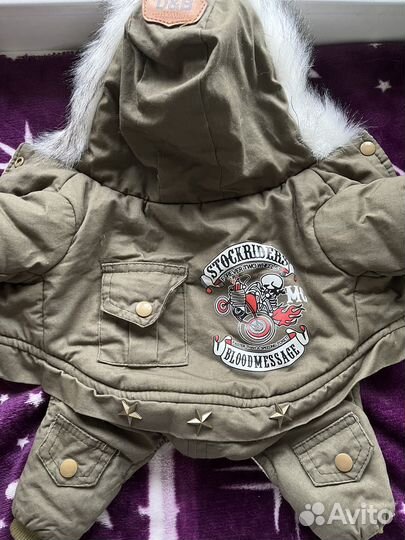 Зимний костюм для маленькой собачки