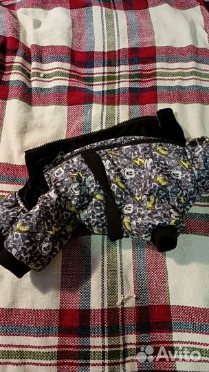 Костюмы осении для собак мальчиков