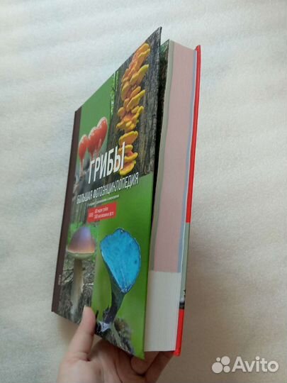 Книги о грибах. Квиллинг. Цветы