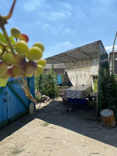 Дом 53,2 м² на участке 8,5 сот.