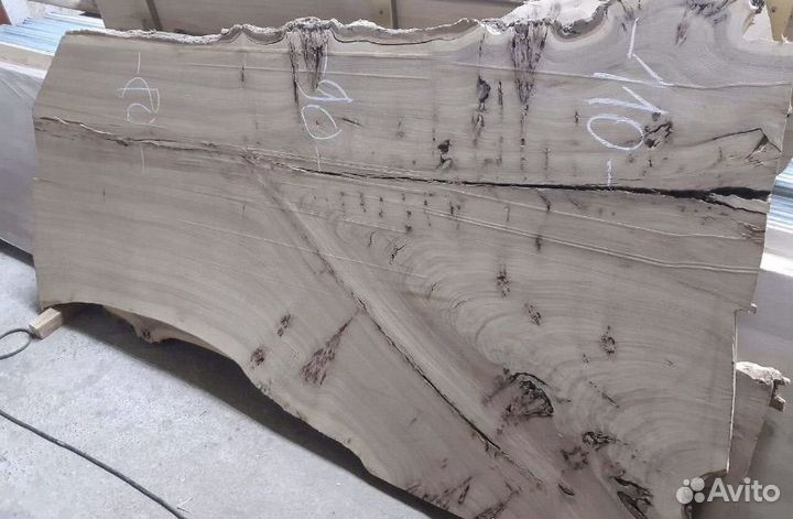 Слэб карагач