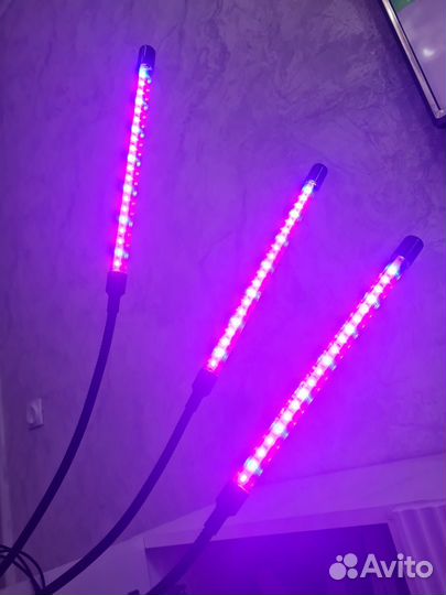 Фитолампа для растений